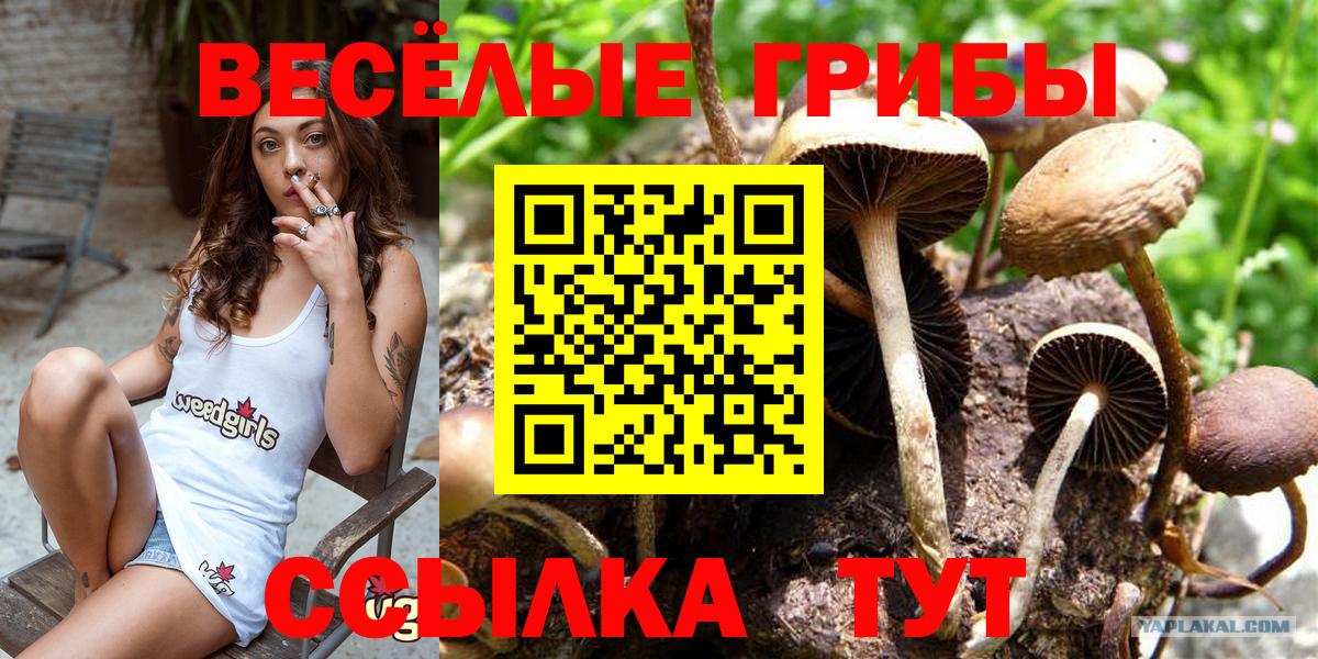 Конопля  КОКАИН  Среднеуральск  Alpha PVP СОЛЬ   Где купить  ГАШ  Вход с VPN  МЕФ кристаллы  Марихуана 