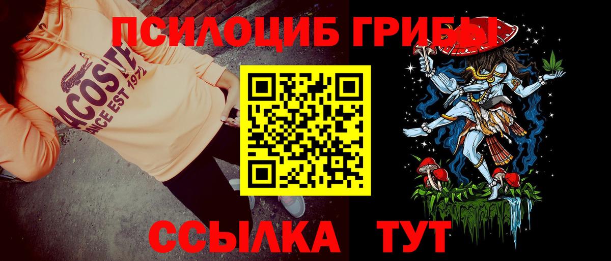 Галлюциногенные грибы прущие грибы Среднеуральск