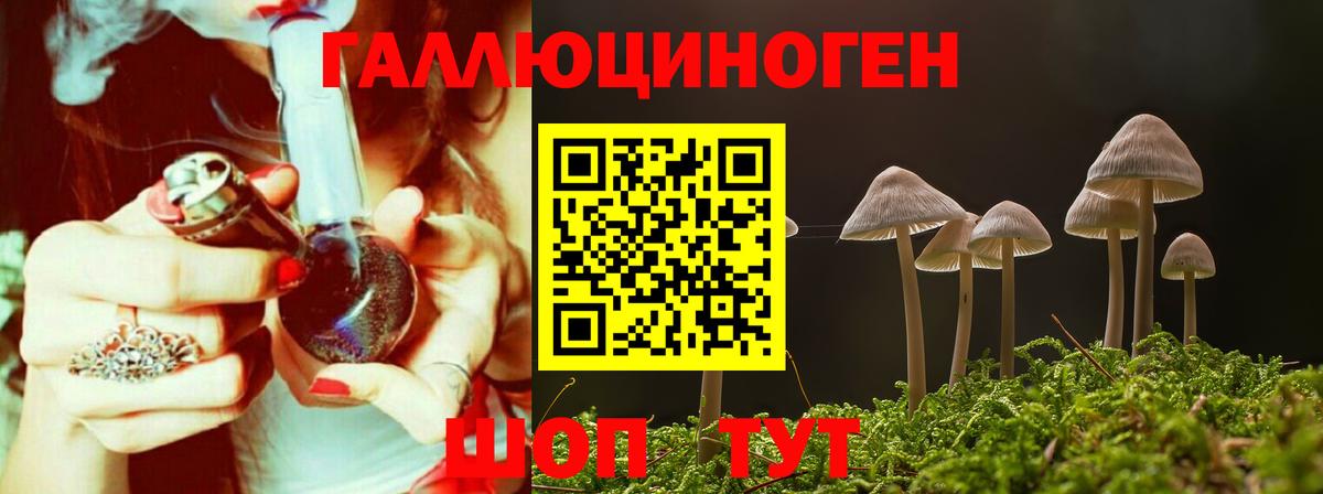 Псилоцибиновые грибы GOLDEN TEACHER  Вход с VPN  Галлюциногенные грибы мицелий  Среднеуральск 